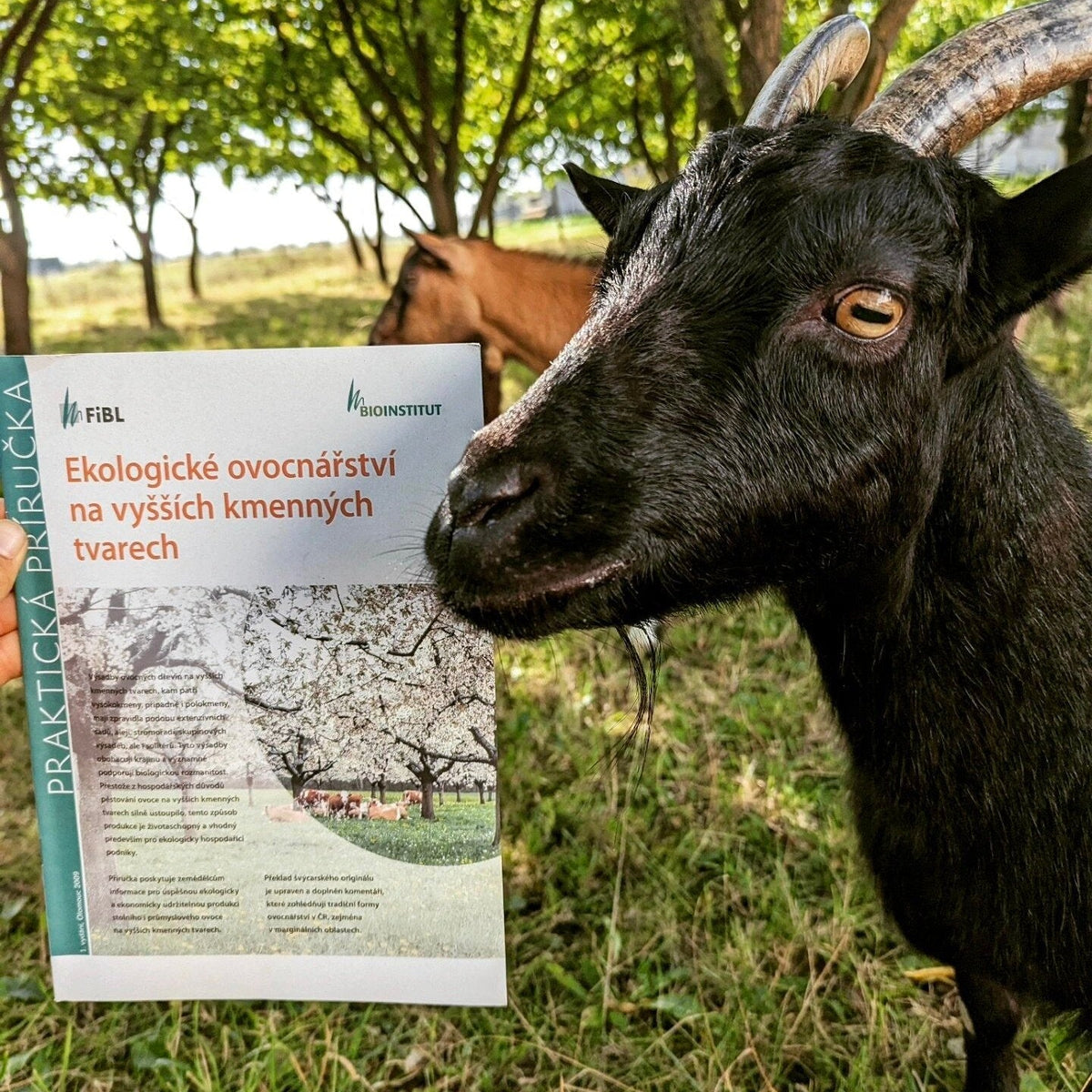 Ekologické ovocinářství na vyšších kmenných tvarech publikácia Bioinstitut 		
OOPEO