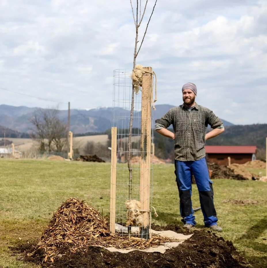 Motyka ručne kovaná špicatá, úzka